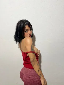 misdoll