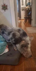 LaloSalamanca69 Public Pic 4