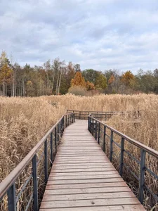 AlexFH Just walking along the eco trail Hình 4