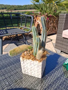 Crazy_TBM-BWC Public  5টি ছবি