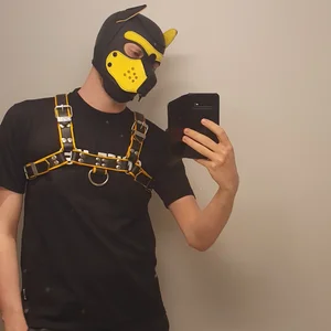 Pup_Noir Public Billede