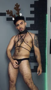 adamhairyのaDAM CHRISTMAS REINDEERの 8枚の写真