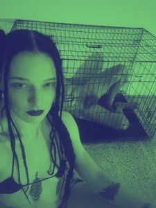 SweetAlpha kullanıcısının Public albümü -  5 fotoğraf