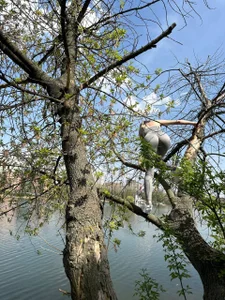 Kimsweet7 Bright moments Immagine  6