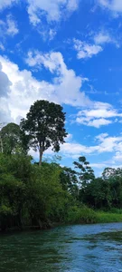 Alex_Sweeting kullanıcısının Out for a stroll albümü -  3 fotoğraf