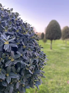 AnnJey MY HOBBY slika 5