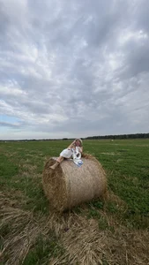 AriaEven's photo