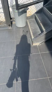 Ebony Bunny de Ririblonde1  3 Imagens