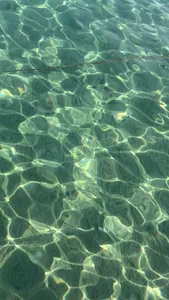 GentleRossi Egypt🇪🇬  5. fénykép