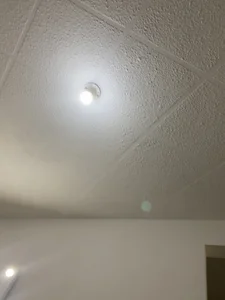 JenniferLorenz1 Hot Pic 4