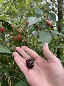 devora_candi Paseo por carretera🏍️ صورة واحدة|devora_candi Paseo por carretera🏍️ صورتان|devora_candi Paseo por carretera🏍️  4 صور|devora_candi Paseo por carretera🏍️  4 صورة