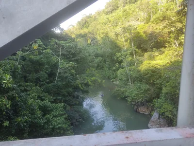 TigerStripes1_ World 圖片 9