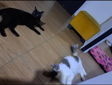 My motivation ♥ de hanna__azumi  photos