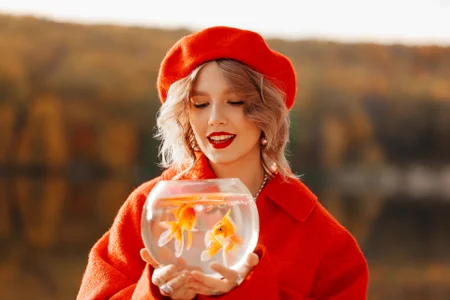 LiliLinn kullanıcısının Goldfish albümü -  6 fotoğraf