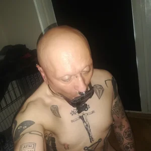 object857 kullanıcısının it albümü -  fotoğraf