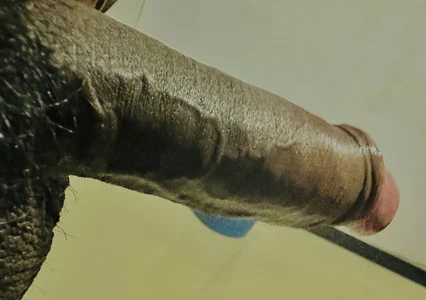 Slbigdoogy21 Public Εικόνα 2