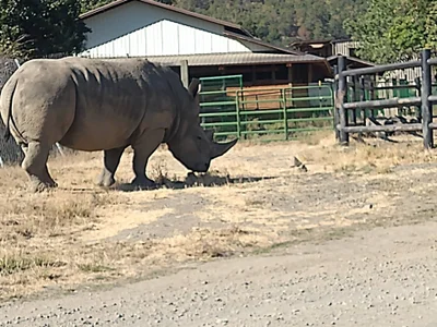 Evalain_shadow My Travels ✌️ Pic 9