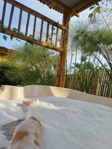 MelissaMoore_ Spa Day! Immagine  9