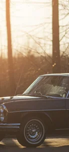 MelissaMelrey Soon there will be something very beautiful Foto