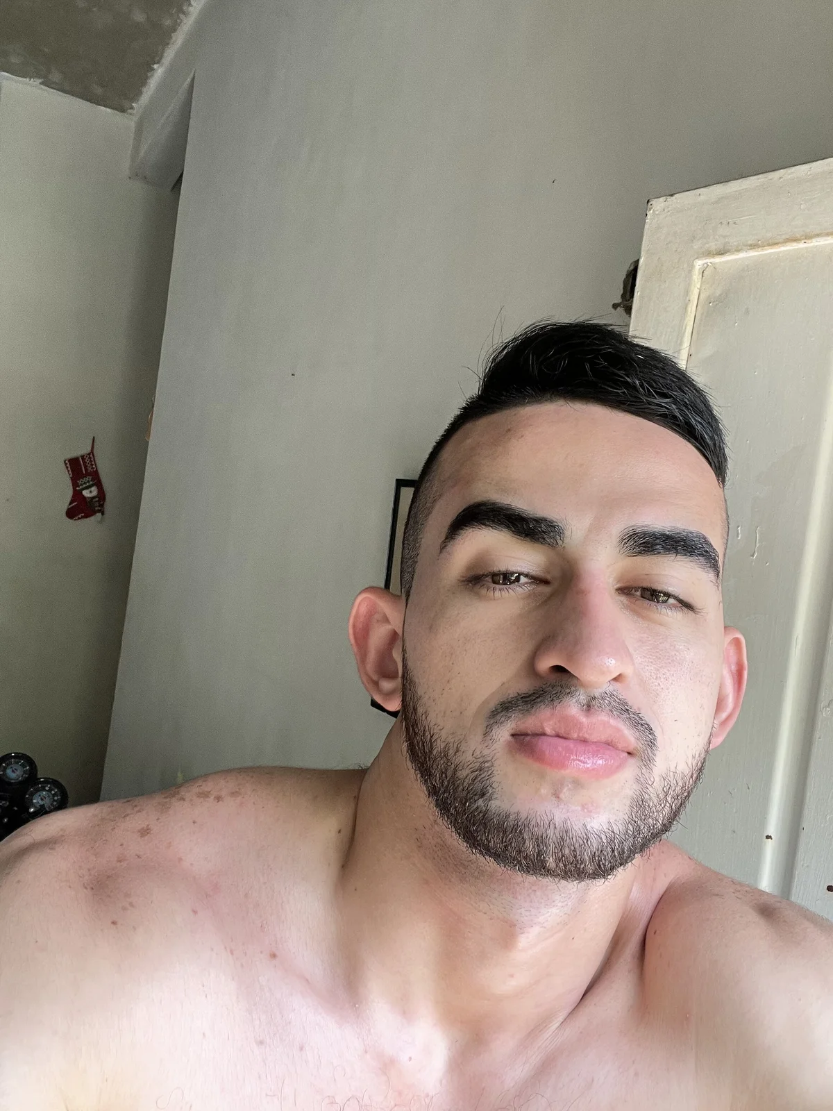 Reyv2101  3947. kiemelt képe