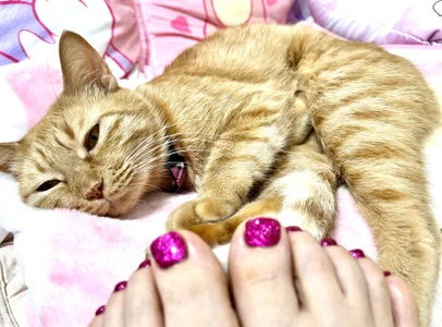 -mirurun08-のみーちゃんとネイル❤️の枚の写真