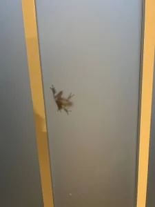 Public de bassikero  5 photos