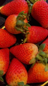 sweet strawberry ♥ de Grace_Williams_  2 Imagens