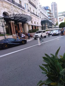 Piseloduro Public  3. fénykép