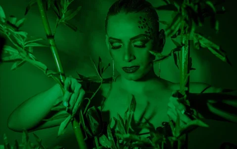 Jeanineescott SAN PATRICIO Pic