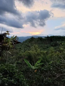 amabel_zambranoのPublicの 3枚の写真