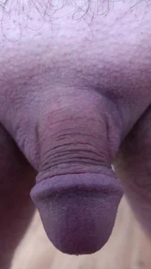 Sly_02Kostprobe Bild 3