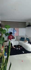 anaroman01Public图片 7