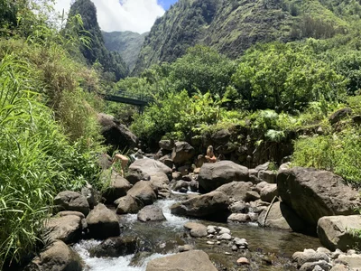 jungleangel babe Pic 3