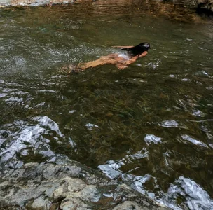 Aphrodite-777 Public Pic 5