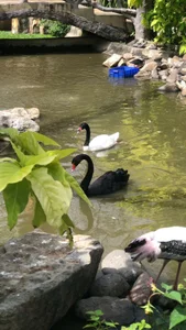 Candy_Sweetie_Have you ever been to Nha Trang?图片