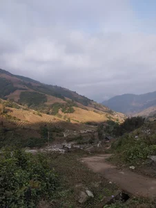 Hani-i Quê hương টি ছবি