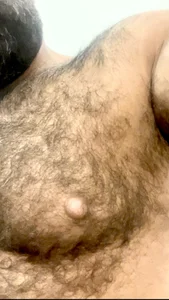 HAIRY_ARAB_SULTAN public 2 사진