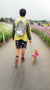 chuck00095 Public Foto 4