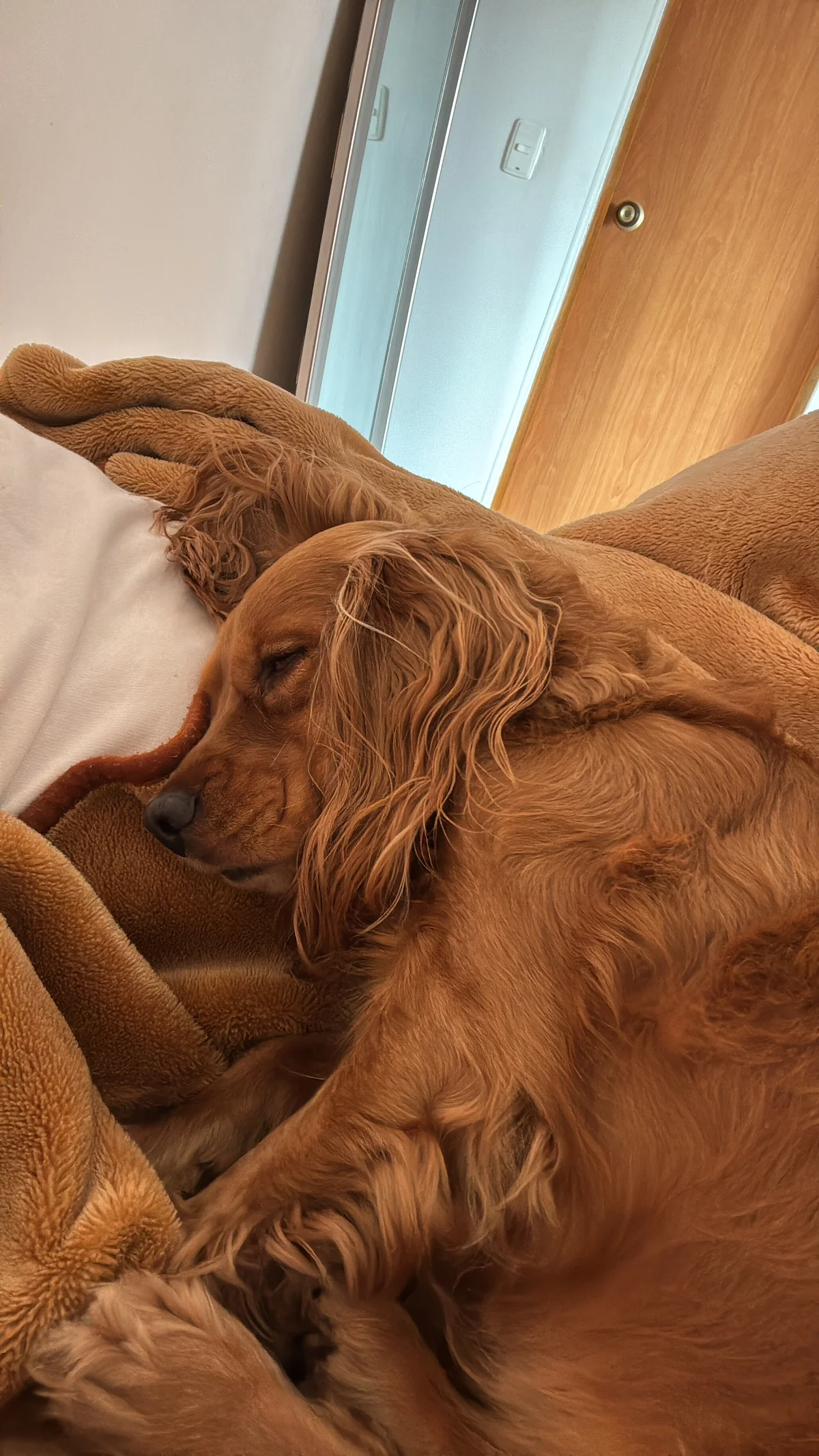 Chris_Clarck  3580. kiemelt képe