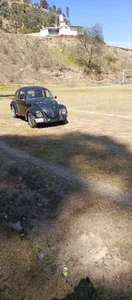 Mis fotos de Cojolos  5 photos