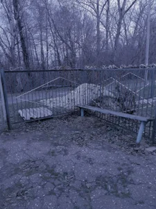 VeliraBraitberg Autumn in Russia Immagine  5