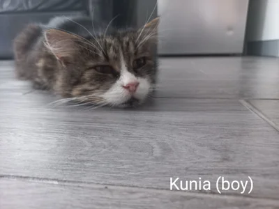 Alicia_x_art My pets صورة واحدة|Alicia_x_art My pets صورتان|Alicia_x_art My pets  8 صور|Alicia_x_art My pets  8 صورة