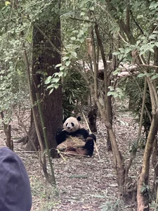 Rabbit-15 Public 圖片 7