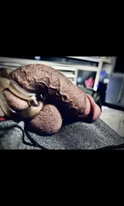 QuickFallens XXX-Nackfoto 1