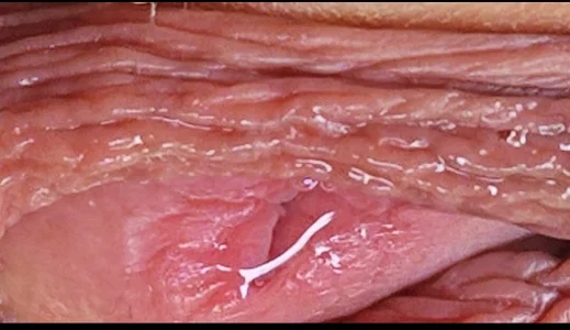 jhonschen's Preiaculazione primo piano Sex Photo 8