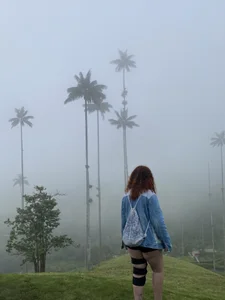 Annycolin_のPublicの 2枚の写真