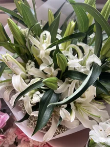 curvycatwow My b-day🎉I love flowers صورة واحدة|curvycatwow My b-day🎉I love flowers صورتان|curvycatwow My b-day🎉I love flowers  5 صور|curvycatwow My b-day🎉I love flowers  5 صورة