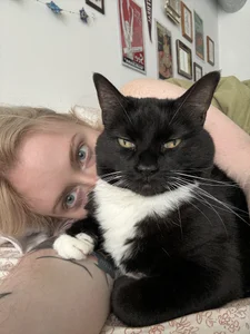 Zdjęcia seeunexttuesday Public:  8