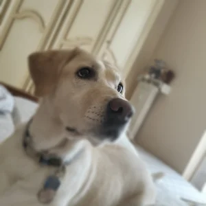 AnastasiaAniess ❤️ALPHA OUR MASCOTTE ❤️ Foto 3