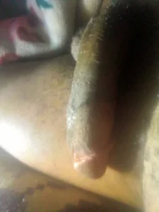 Stormward Public รูป  2